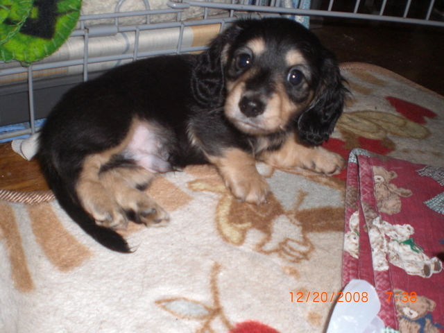 �������ӂ�X�C�}�[