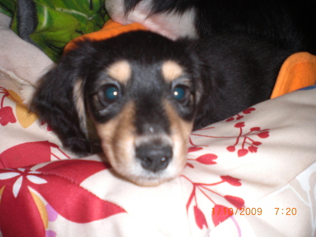 �������ӂ�X�C�}�[