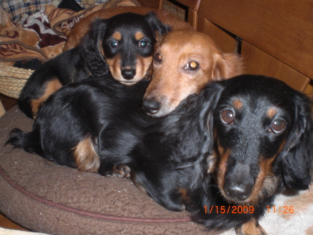 �������ӂ�X�C�}�[