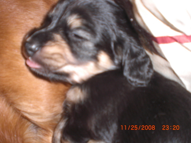 �������ӂ�X�C�}�[