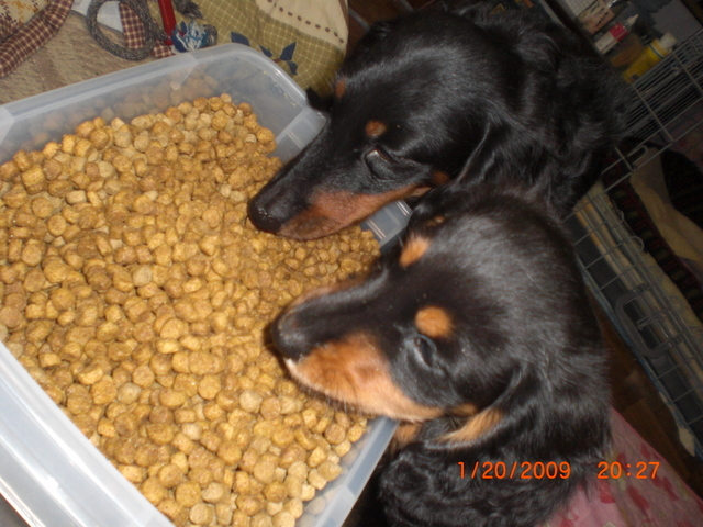 �������ӂ�X�C�}�[