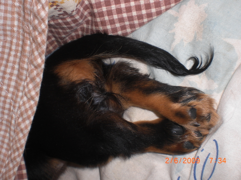 �������ӂ�X�C�}�[