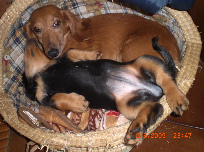 �������ӂ�X�C�}�[