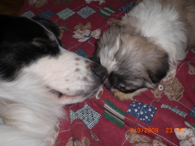 �������ӂ�X�C�}�[