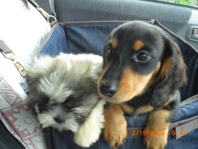 �������ӂ�X�C�}�[