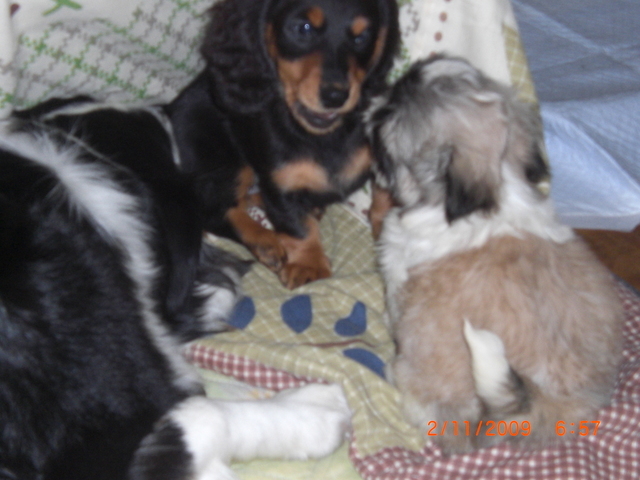 �������ӂ�X�C�}�[