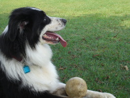 �������ӂ�X�C�}�[