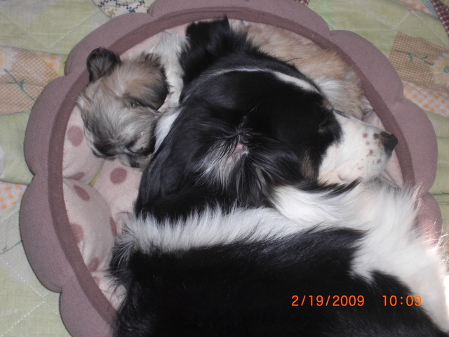 �������ӂ�X�C�}�[