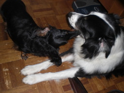 �������ӂ�X�C�}�[