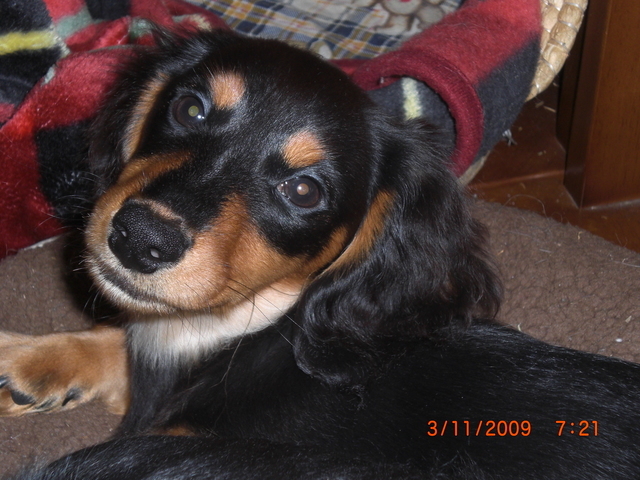 �������ӂ�X�C�}�[