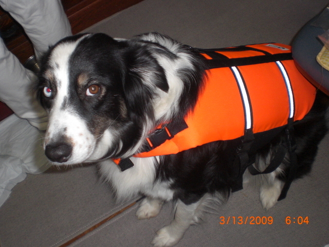 �������ӂ�X�C�}�[