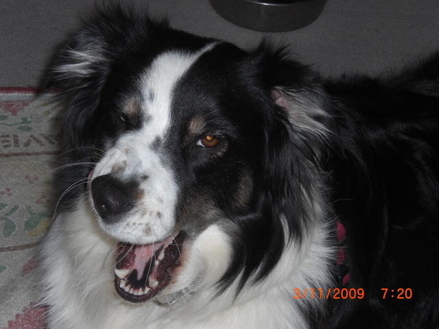 �������ӂ�X�C�}�[