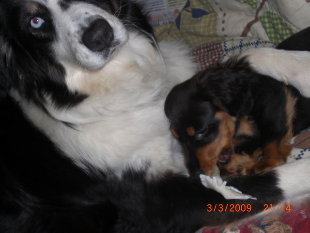 �������ӂ�X�C�}�[