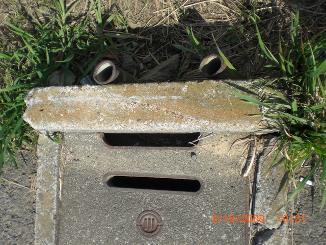 �������ӂ�X�C�}�[