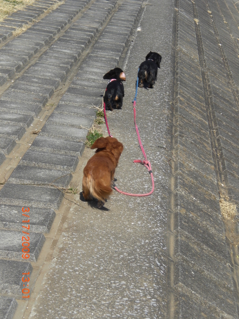 �������ӂ�X�C�}�[