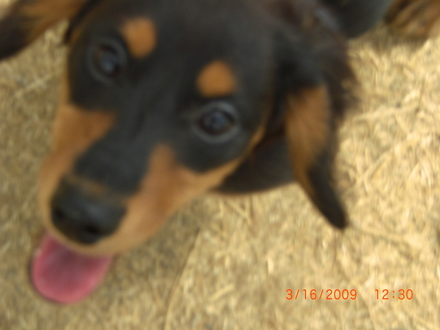 �������ӂ�X�C�}�[