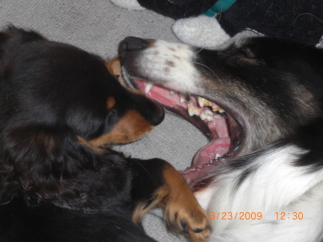 �������ӂ�X�C�}�[