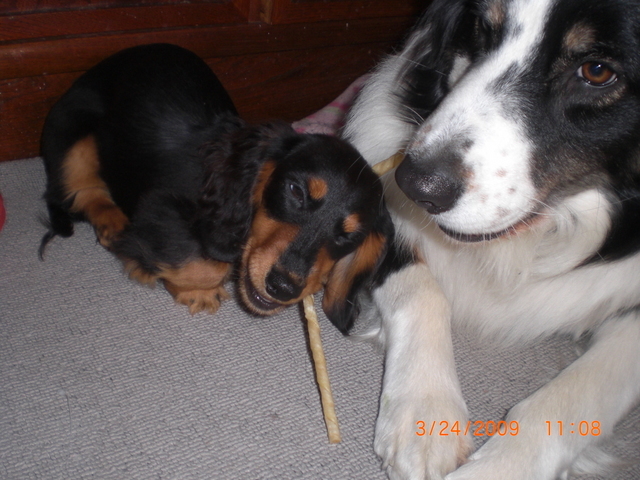 �������ӂ�X�C�}�[