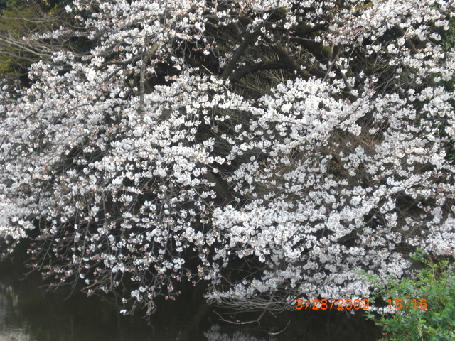 �������ӂ�X�C�}�[