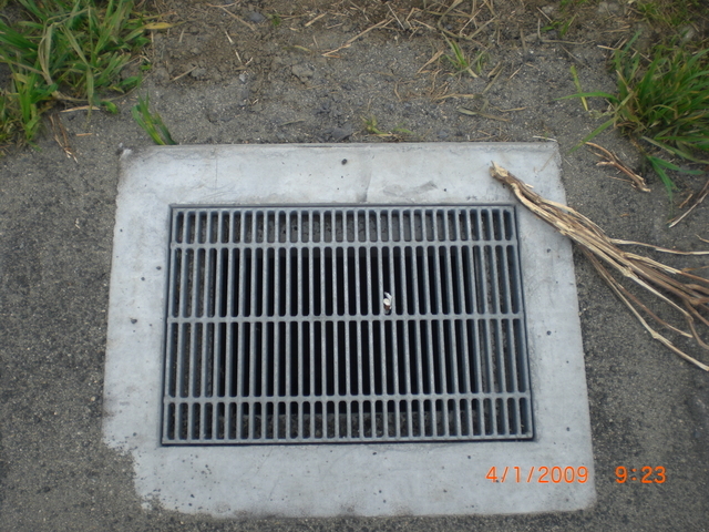 �������ӂ�X�C�}�[