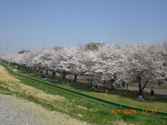 �������ӂ�X�C�}�[