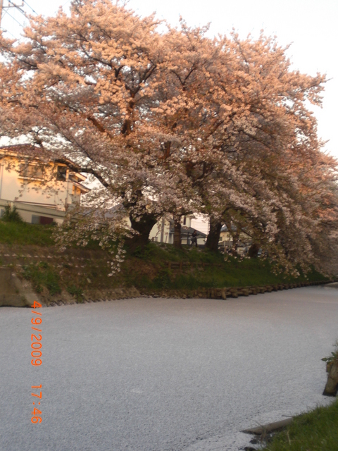 �������ӂ�X�C�}�[