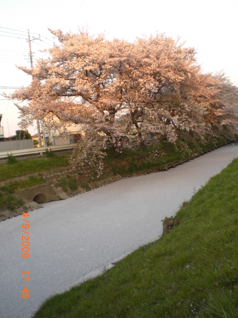 �������ӂ�X�C�}�[