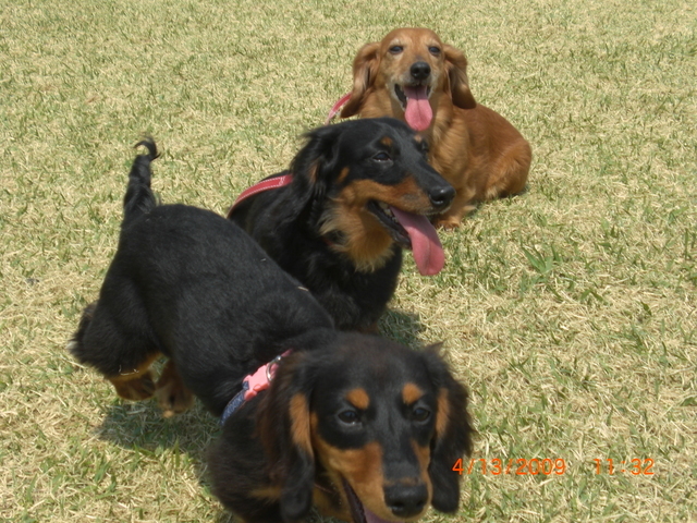 �������ӂ�X�C�}�[