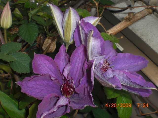 �������ӂ�X�C�}�[