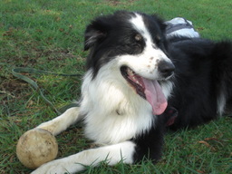 �������ӂ�X�C�}�[