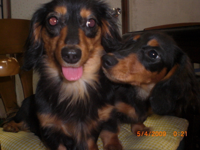 �������ӂ�X�C�}�[