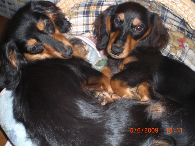 �������ӂ�X�C�}�[