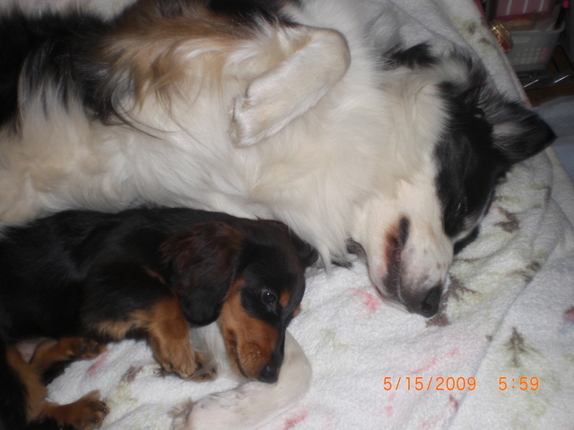 �������ӂ�X�C�}�[