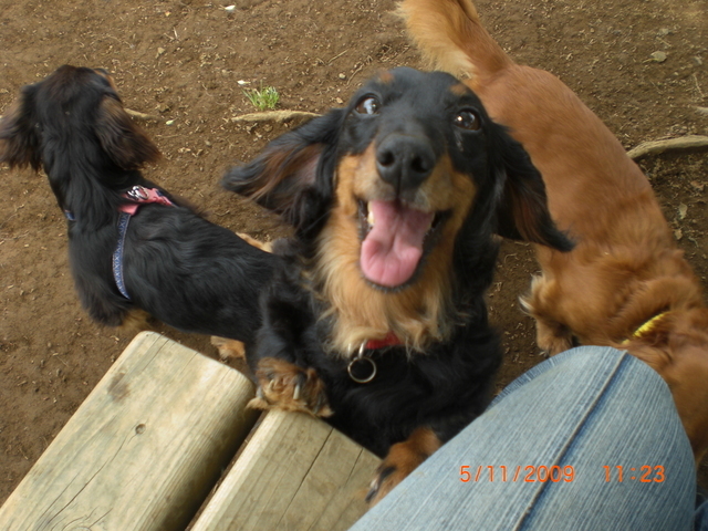 �������ӂ�X�C�}�[