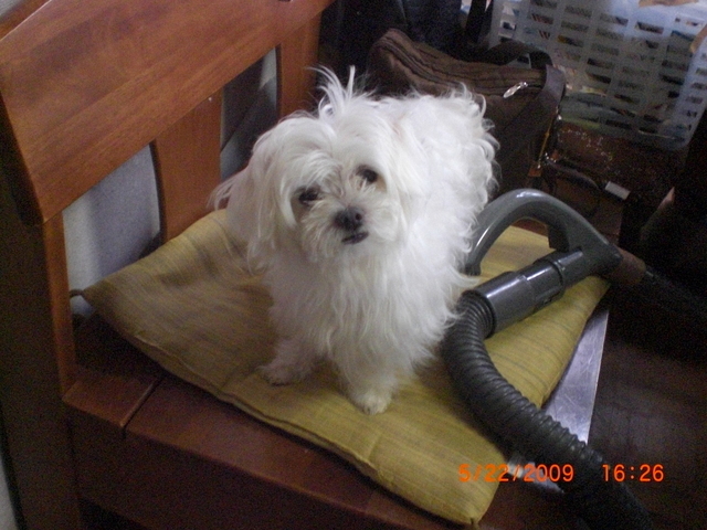 �������ӂ�X�C�}�[