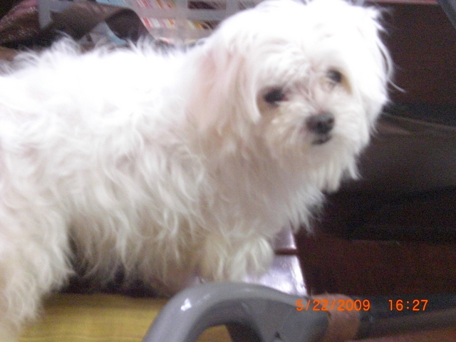 �������ӂ�X�C�}�[