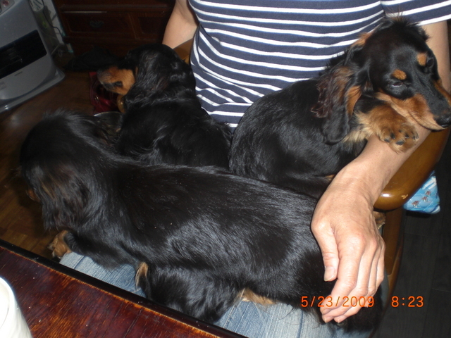 �������ӂ�X�C�}�[