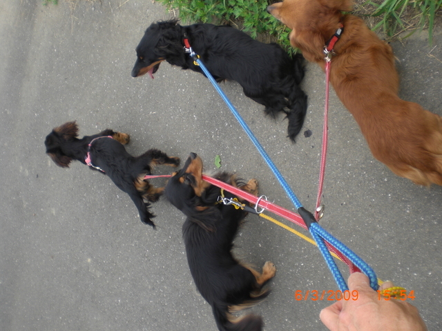 �������ӂ�X�C�}�[