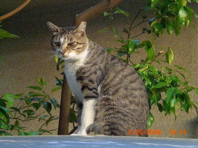 �������ӂ�X�C�}�[