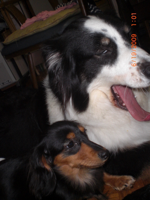 �������ӂ�X�C�}�[