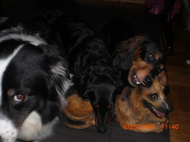 �������ӂ�X�C�}�[