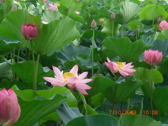 �������ӂ�X�C�}�[