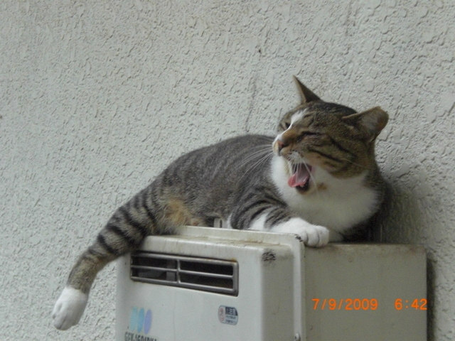 �������ӂ�X�C�}�[