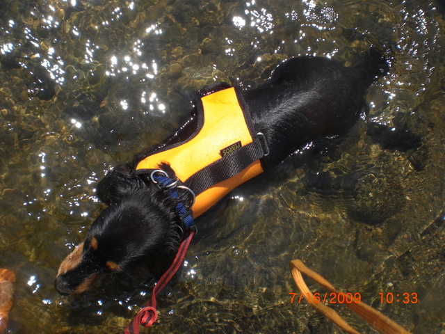 �������ӂ�X�C�}�[