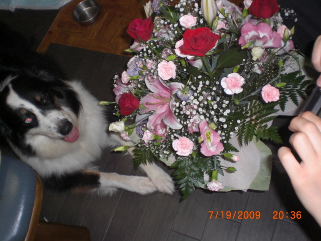 �������ӂ�X�C�}�[