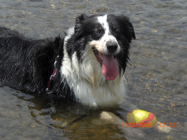 �������ӂ�X�C�}�[