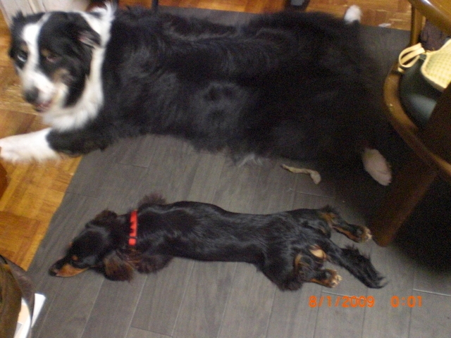 �������ӂ�X�C�}�[