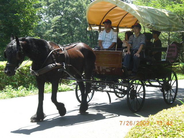 �������ӂ�X�C�}�[