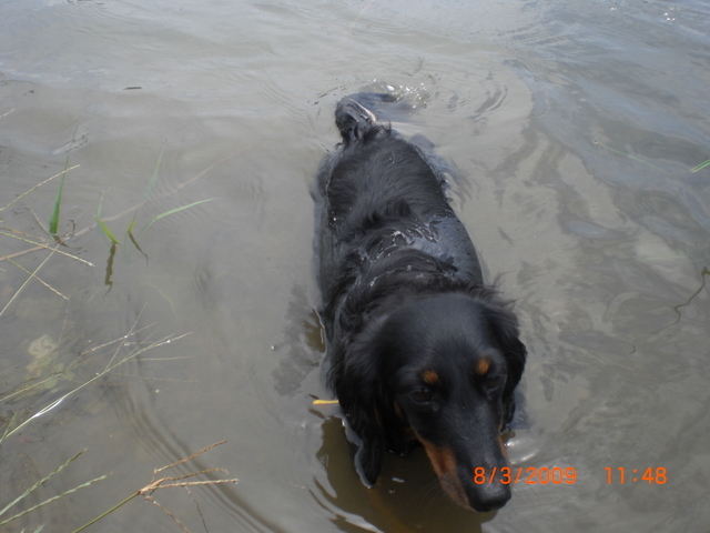 �������ӂ�X�C�}�[