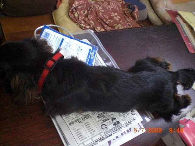 �������ӂ�X�C�}�[